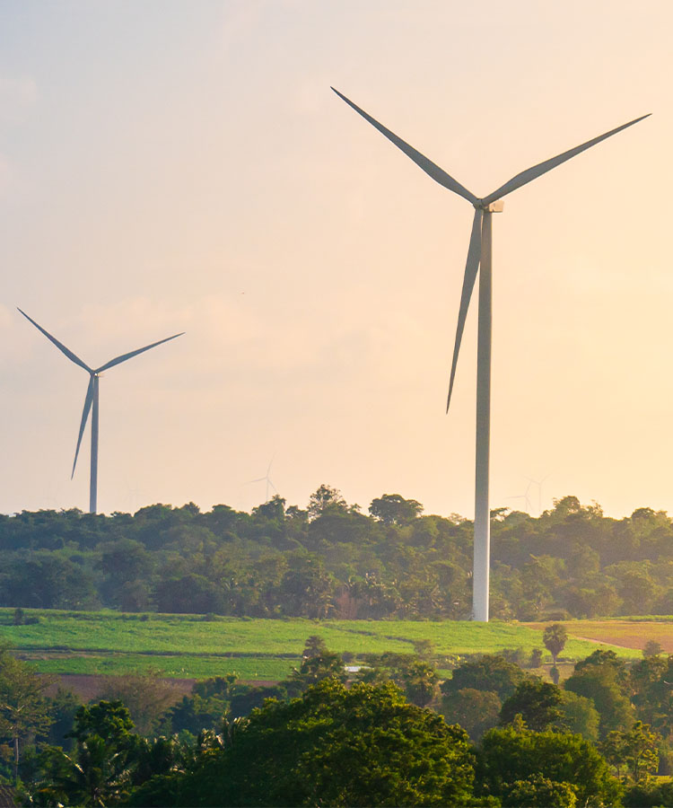 wind turbines in the open field