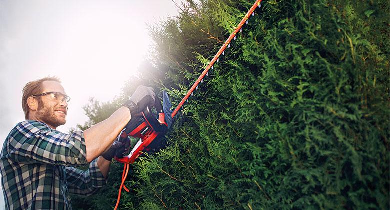 a man cuts the hedge with a hedge trimmer