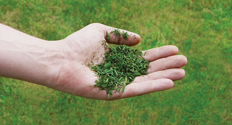 hand with mowed grass